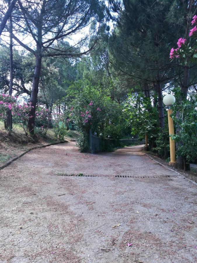Finca Rural Labriega Del Hueznar Cazalla de la Sierra Exterior foto